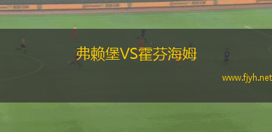 弗赖堡VS霍芬海姆