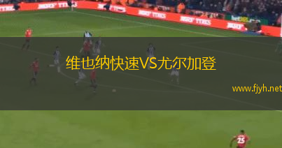 维也纳快速VS尤尔加登