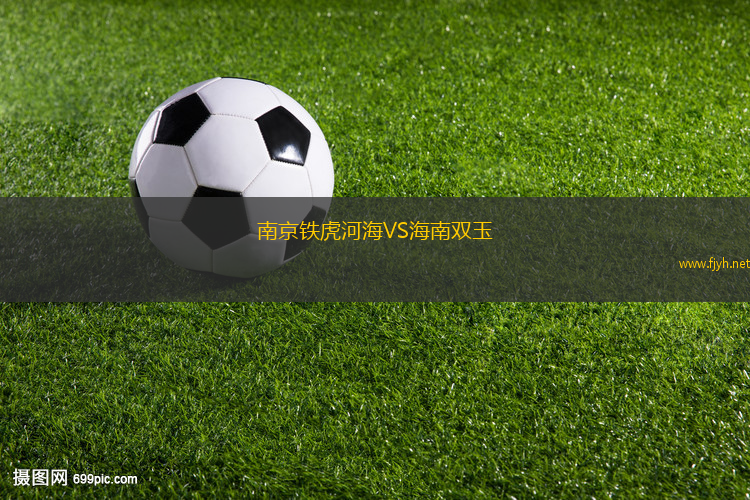 南京铁虎河海VS海南双玉